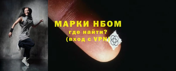 сатива Новозыбков