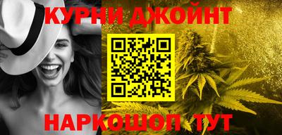 индика Ливны