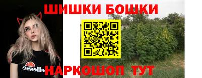 индика Ливны