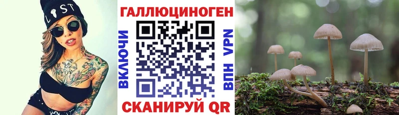 продажа наркотиков Юрга Галлюциногенные грибы ЛСД