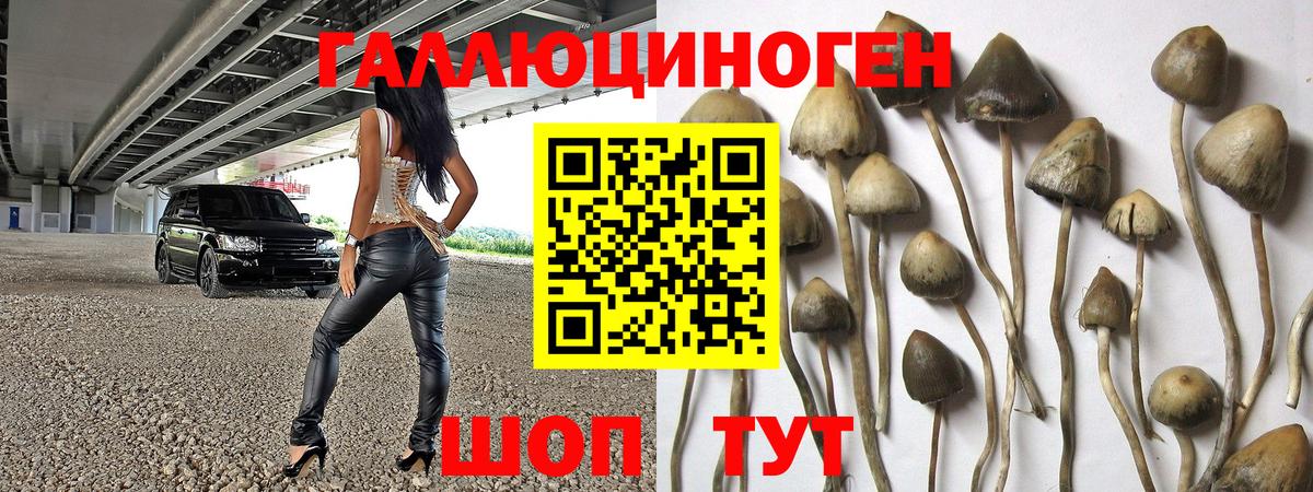 Юрга  Галлюциногенные грибы ЛСД  Вход с VPN  Галлюциногенные грибы мицелий 