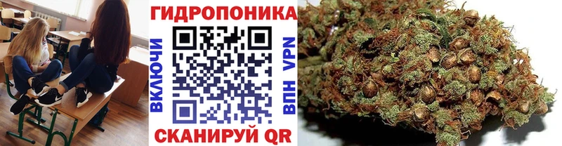 даркнет Telegram  Юрга  Шишки марихуана марихуана 
